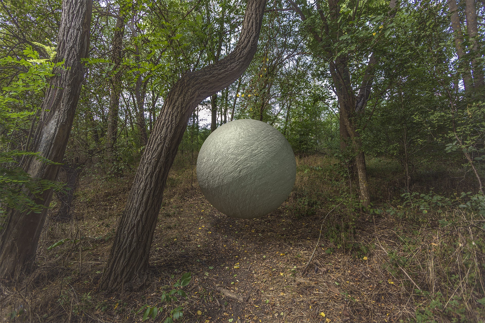 Levitating Forest Ball by nikolae